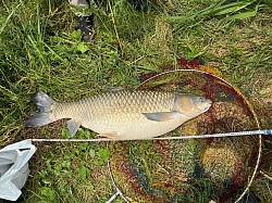 2024年5月30日草魚54匹目114cm
