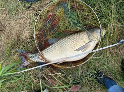 2024年6月3日草魚55匹目124cm