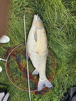 2025年6月4日草魚58匹目123cm